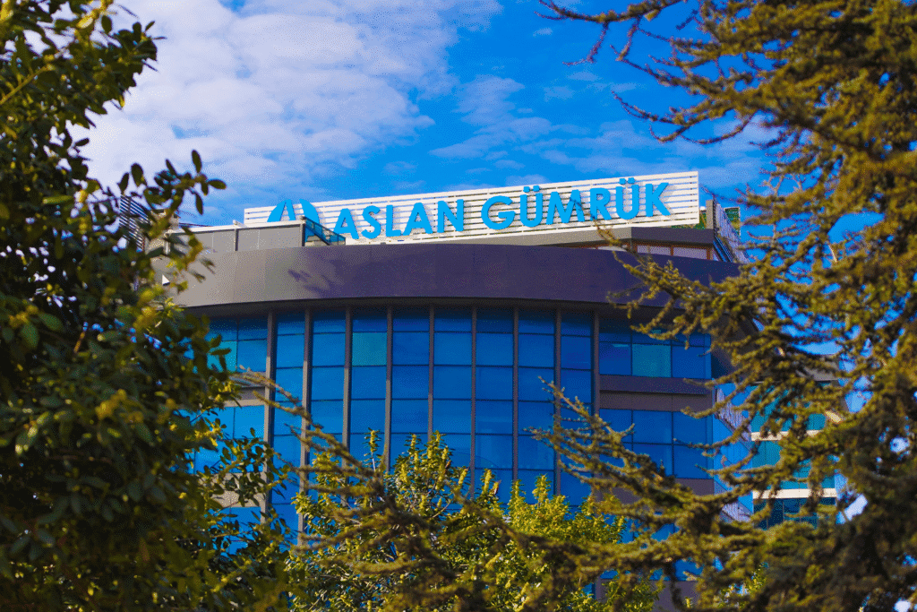 Aslan Global Gümrük Müşavirliği